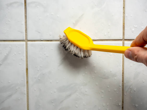 Best Professional Mold Removal  in Cherry Hill, VA