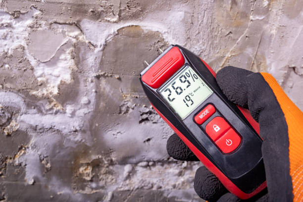 Attic Mold Removal in Cherry Hill, VA
