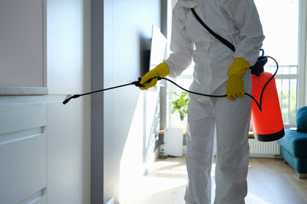 Best Water Damage Restoration  in Cherry Hill, VA