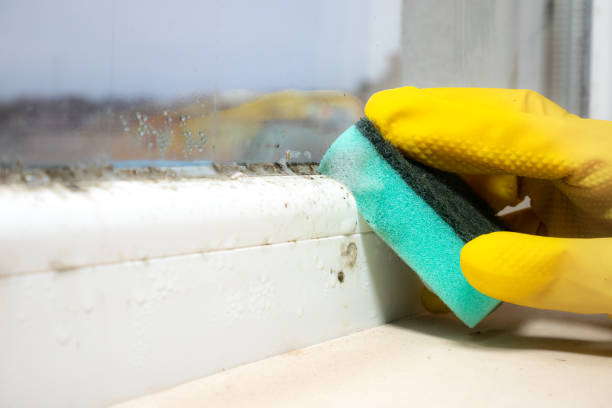 Best Certified Mold Removal  in Cherry Hill, VA