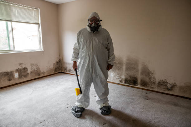 Best Mold Cleaning Services  in Cherry Hill, VA